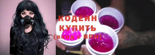 хмурый Покачи