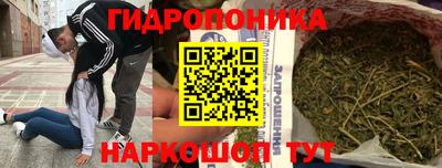 стафф Рязань