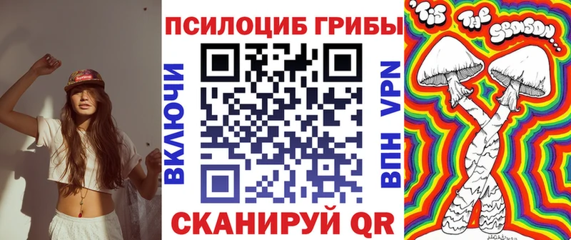 где можно купить   Курск  Галлюциногенные грибы Psilocybine cubensis 